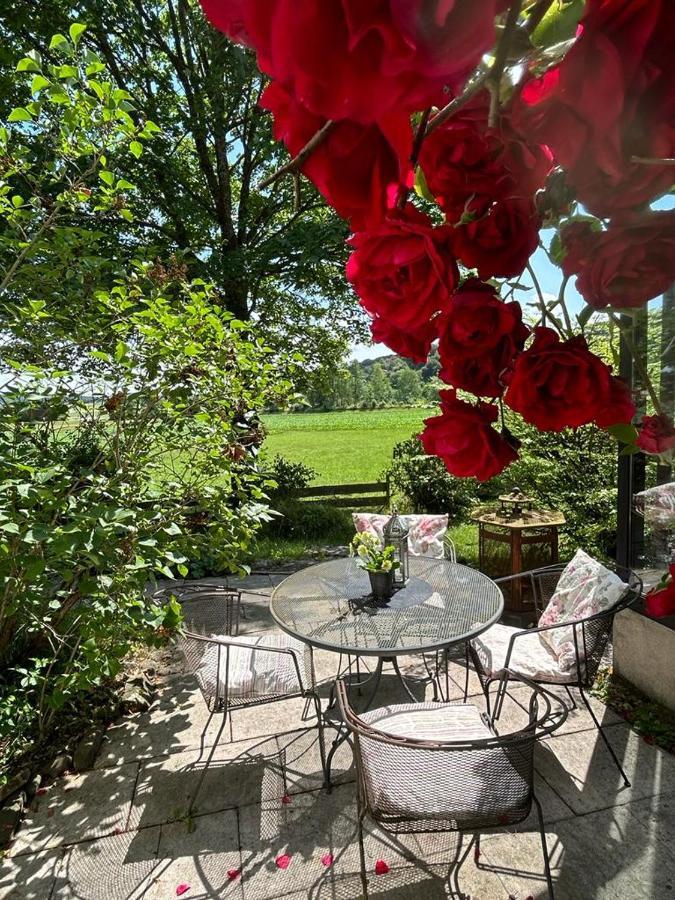 Ferienwohnung An Der Loipe Lichtenstein  Exteriör bild