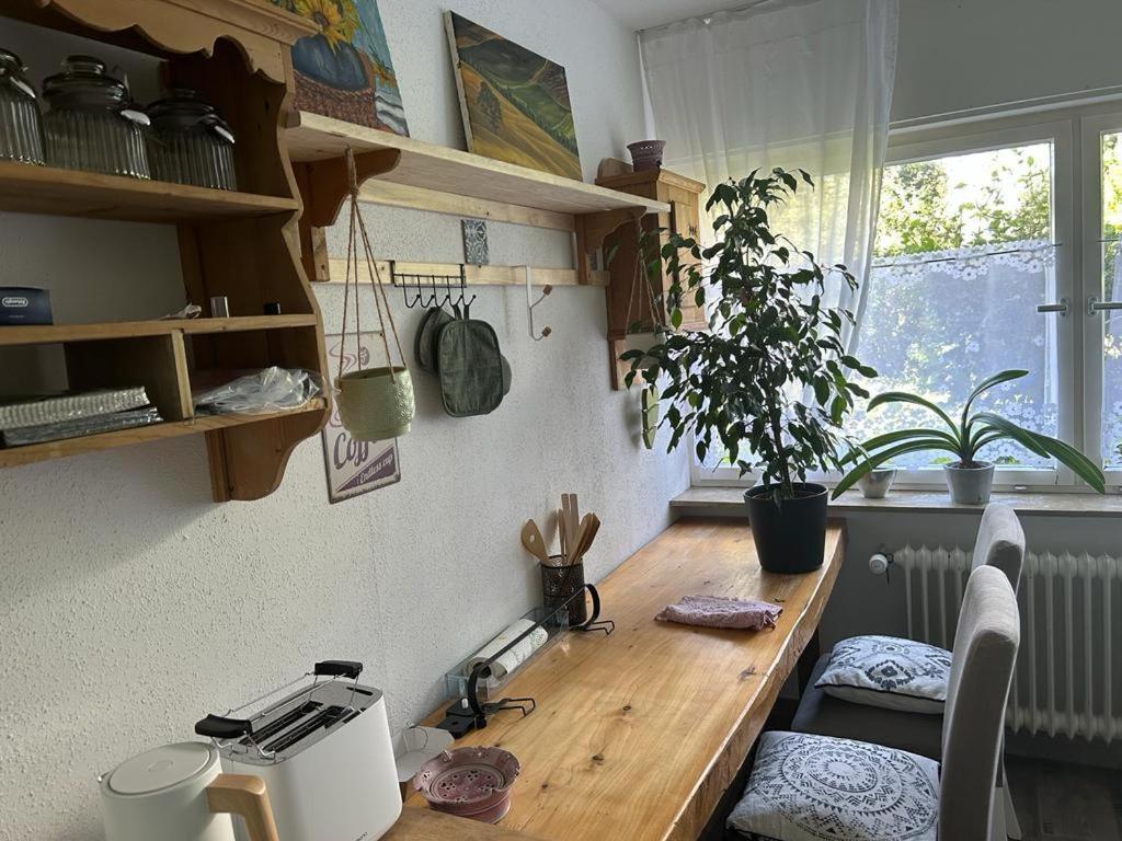 Ferienwohnung An Der Loipe Lichtenstein  Exteriör bild